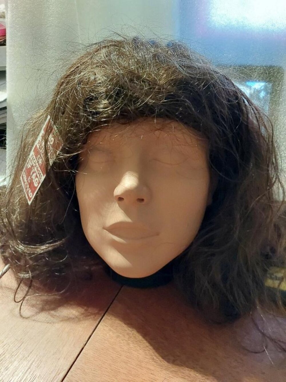NEW TAG ! Women Long 22 Inch Curly Wig Dark Blonde